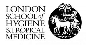 Research Assistant or Research Fellow