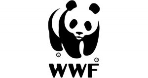 Coordinator, Private Sector Engagement at WWF