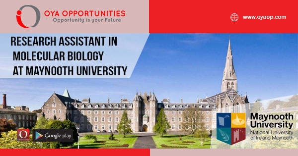 Research Assistant in Molecular Biology at Maynooth University