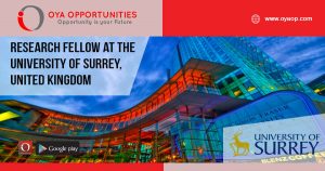 Research Fellow in Applied Psychology, University of Surrey