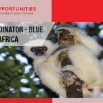Project Coordinator - Blue Action Fund, Africa