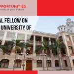 Post-doctoral fellow on Chemistry at University of Hong Kong