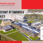 Research Research Assistant at Swansea University, Wales