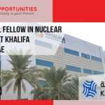 Postdoctoral Fellow in Nuclear Engineering at Khalifa University, UAE