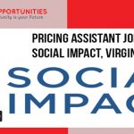 Pricing Assistant Jobs at Social Impact, Virginia