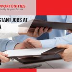 Administrative jobs at WHO, Armenia