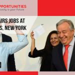 Political Affairs josb at UN (United Nations), New York