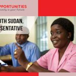 UN jobs in South Sudan, Deputy Representative