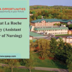 Vacancy at La Roche University (Assistant Professor of Nursing)