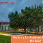 Vacancy for Assistant Professor in the USA