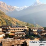 Technical Field Coordinator Vacancy at CIMMYT in Nepal