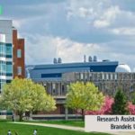 Research Assistant Vacancy at Brandeis University
