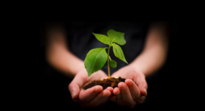 Teaching Entrepreneurial Thinking