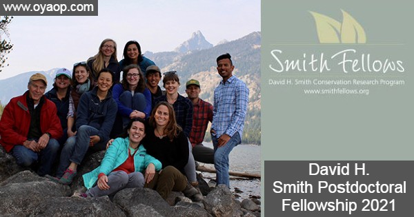Smith Postdoctoral Fellowship 2021