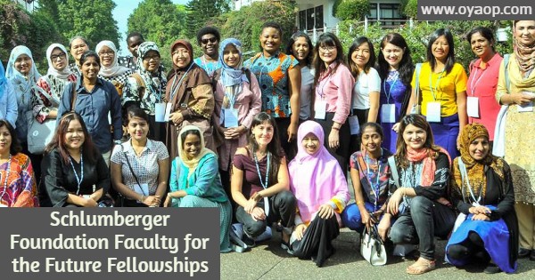 Faculty for the Future Fellowships