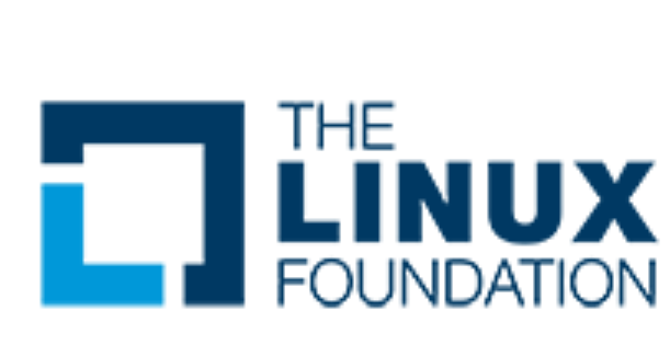 Get Professional Certificate in Blockchain for Business