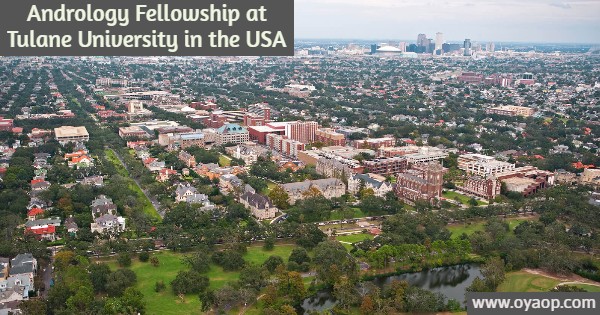Andrology Fellowship at Tulane
