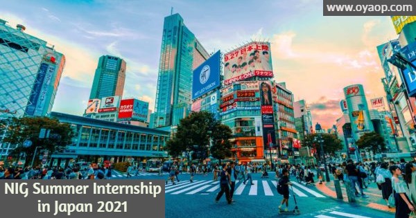 NIG Summer Internship