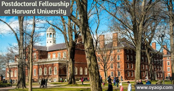 Postdoctoral Fellowship at Harvard