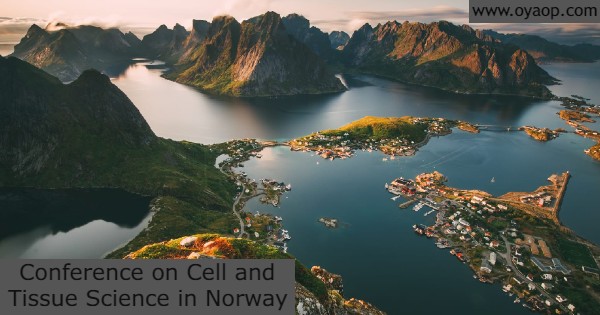 Conference on Tissue Science in Norway