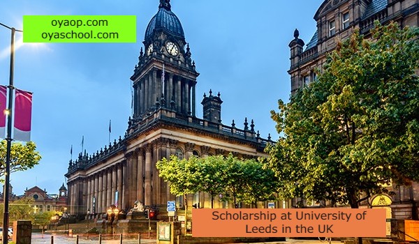 Scholarship at University of Leeds in the UK