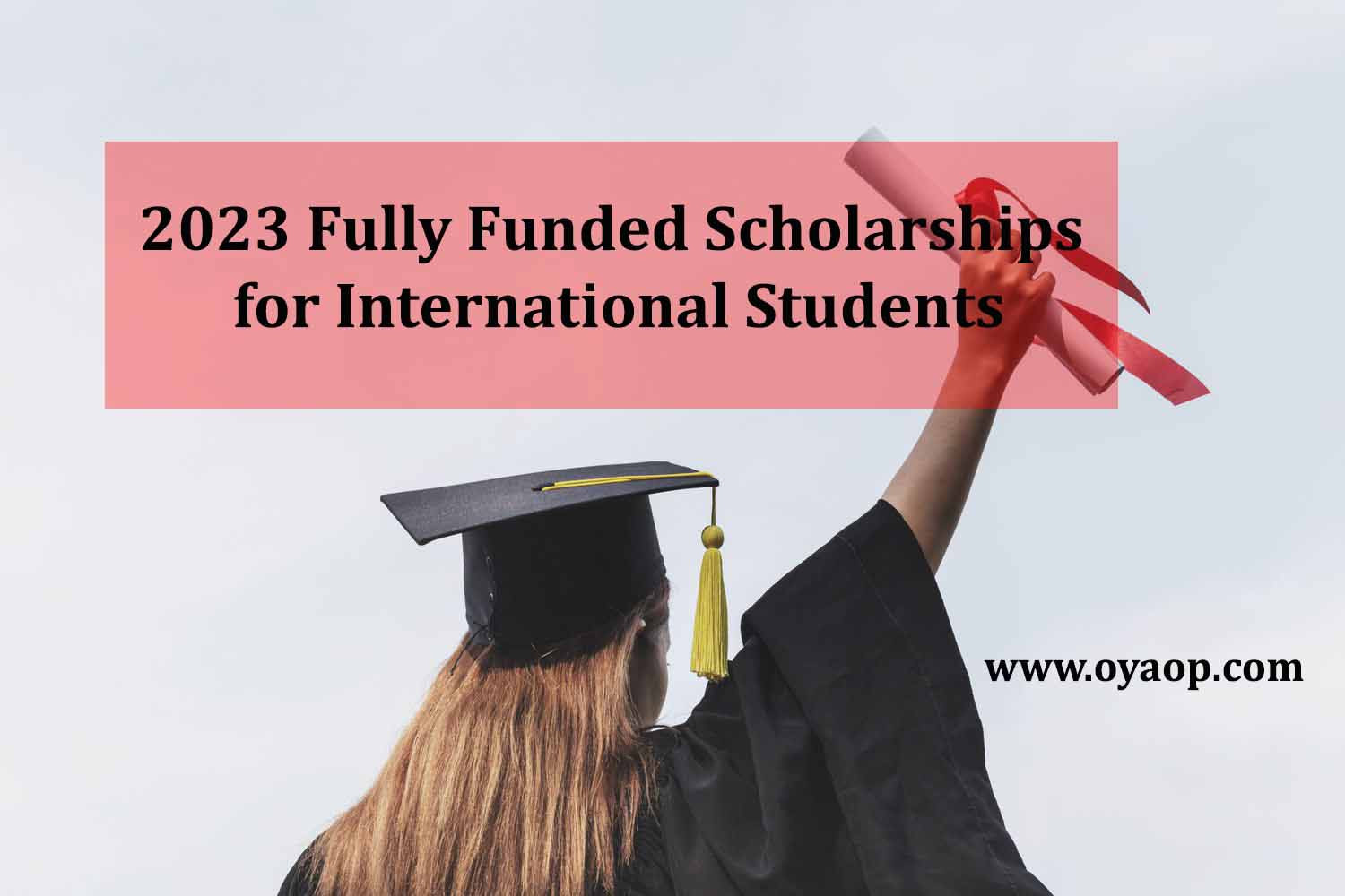 2023 Fully Funded Scholarship For International Students OYA 