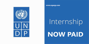 2024 UNDP Project Intern Analyst (three openings) in Philippines