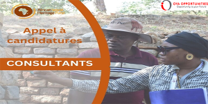African World Heritage Fund (AWHF) is hiring Consultants