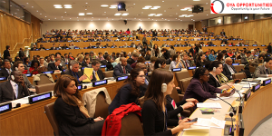 Calling Youth in Canada: GAC Canadian Delegation to the 58th UN Commission on Population & Development (Funded)