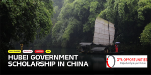 Fully Funded Hubei Government Scholarship in China