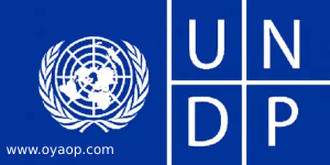 Civil Engineer Specialist Internship UNDP Opportunity | Apply Now for 2025