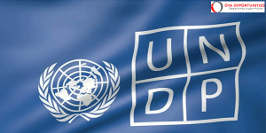 UNDP Supply Chain Management Assistant || Apply Now |