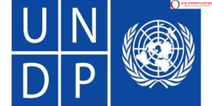 UNDP Partnerships and Outreach Analyst | Paid Internships || Apply Now |