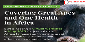 EJN Virtual Media Workshop on Covering Great Apes and One Health in Africa 2025