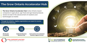 Bioenterprise Canada Grow Ontario Accelerator Hub (GOAH) 2025