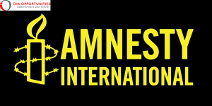 Amnesty International Global Civic Space Fellowship 2025 (up to $25,000)