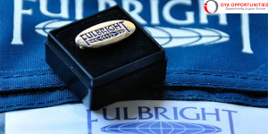 U.S. Embassy in Cameroon Teaching Excellence and Achievement Program 2026 (Funded)