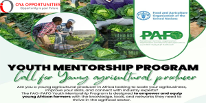 UN FAO-PAFO Youth Mentorship Program 2025