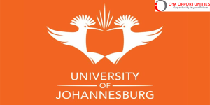 University of Johannesburg (UJ) Prize 2025 for South Africans
