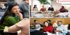 Swedish Institute (SI) Global Executive Programme 2025