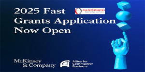 McKinsey & Company Fast Grants 2025 ($10,000 grant)