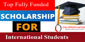 Top Fully Funded Scholarships & Fellowships 2025: Study & Leadership Opportunities Worldwide!