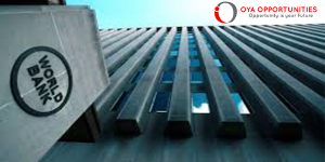 IFC Global Internship Program - Procedure Simplification at World Bank