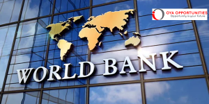 Regional Industry Manager, INR, LAC1 - World Bank | Bogota, Colombia