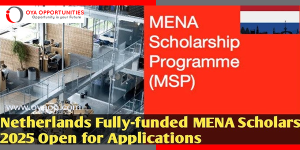 MENA Scholarship Programme 2025 in Netherlands