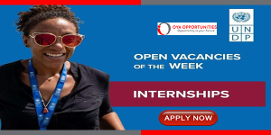 UNDP Paid Internships & Career Opportunities 2024 – Apply Now!