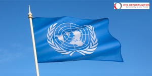 UNDP Green Energy Support Internship || Apply Now |