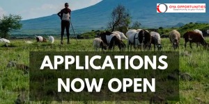 CLIC Agrifood Investment Connector 2025 for Sub-Saharan African