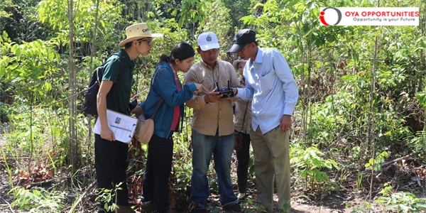 Sino-ASEAN Network of Forestry Research Institutes (SANFRI) Visiting Scholar Program 2024-2025 (Funded)