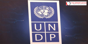 UNDP Legal Analyst || Apply Now |